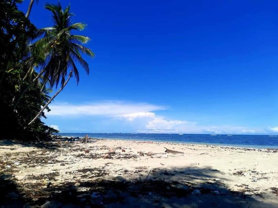 شقة Manta Ray'S Cahuita Apart. المظهر الخارجي الصورة